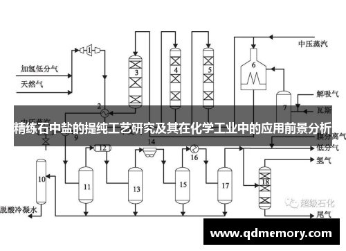 精练石中盐的提纯工艺研究及其在化学工业中的应用前景分析