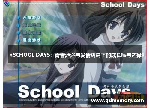 《SCHOOL DAYS：青春迷途与爱情纠葛下的成长痛与选择》