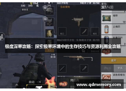 极度深寒攻略：探索极寒环境中的生存技巧与资源利用全攻略