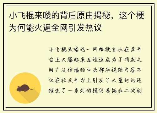 小飞棍来喽的背后原由揭秘，这个梗为何能火遍全网引发热议
